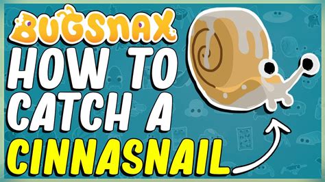 how to catch a cinnasnail|Cinnasnail